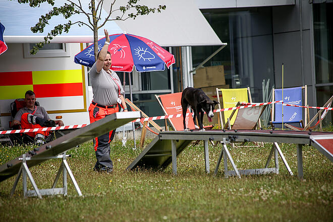 Schwarzer Hund balanciert über Hindernis, Rettungshundeführerin hebt die Hand.