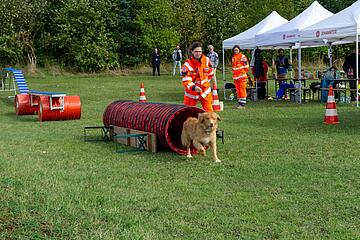 Ein Rettungshund läuft aus einem roten Übungstunnel, während seine Hundeführerin ihm folgt.