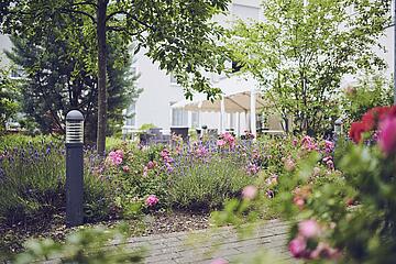 Blumen im Garten des Johanniter-Stifts Karben