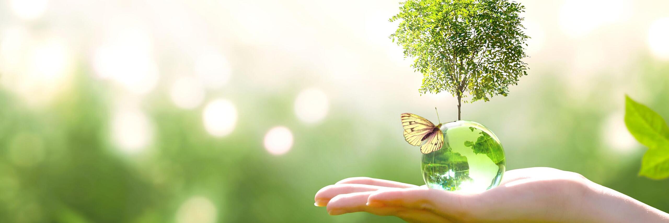 Natur Bild mit Hand in dessen Innenfläche ein Baum wächst und ein Schmetterling liegt 
