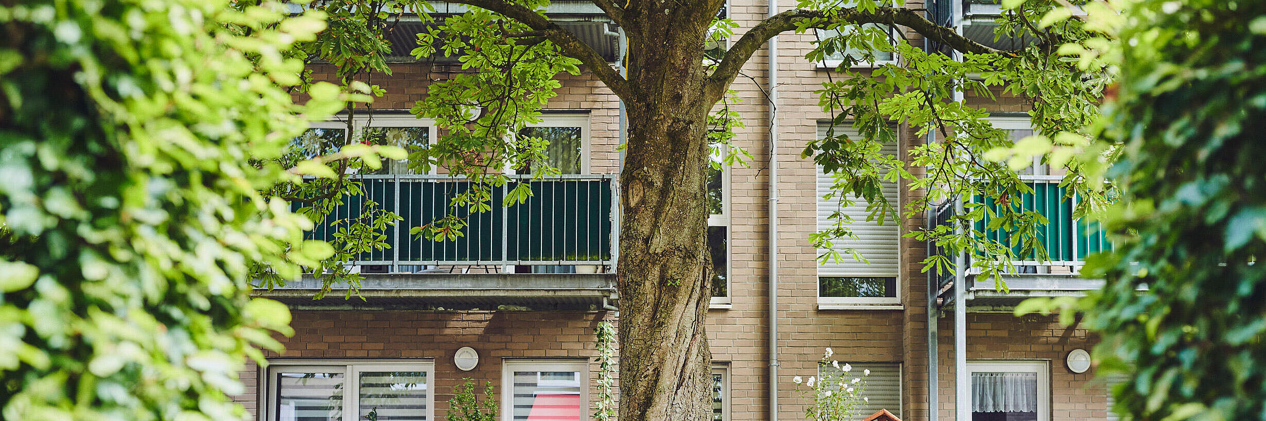 Gartenbank unter einem großen Baum  in der Anlage Johanniter-Stift Köln Flittard.